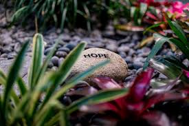 My Giving Page: Dr. Taplin's Prostate Cancer Research Fund's Fundraising  Page