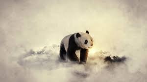 Panda Bears Wallpapers For Desktop Panda 3d Hd Wallpapers Panda 3d Desktop Backgrounds Hd Panda Bears Wallpaper Bear Wallpaper Animals