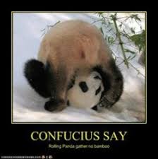 The best gifs are on giphy. Confucius Puns