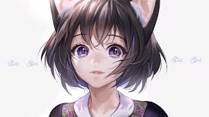 Manga style girls with toy. Wallpaper Anime Girls Cat Girl Cat Ears Black Hair Purple Eyes Smiling White Background 5120x2880 Å“å“åŠ› 1940195 Hd Wallpapers Wallhere