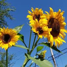 Kristin Patton (@kristinishere)