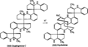 Image result for Psychotria auxopoda