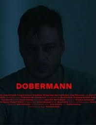 Daniel Heidt filmography