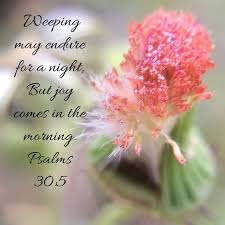 Joy cometh in the morning.as i discussed this scripture with members of our family, they recalled that men are, that they might have joy (), but they had not pondered the intriguing concept that joy cometh in the morning.one of our family said, news reports appear almost daily concerning people who have. Psalms 30 5 New King James Version Nkjv Weeping May Endure Psalms Easter Flower Arrangements