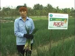 Kacie 250EC