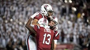 Image result for south carolina gamecocks football