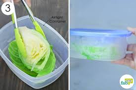 Don't wash the head until you are ready to use it. How To Store Cabbage The Right Way For Up To 1 Year Fab How