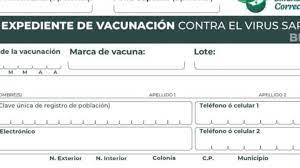 Servicios ofrecidos por la plataforma. Vacunacion Mexico Que Hacer Si Pierdo El Comprobante Para Vacunarme As Mexico