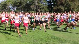 Rochester Mayo Invite