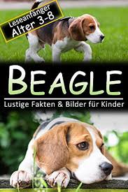 Beagle Lustige Fakten Bilder Fur Kinder Leseanfanger Alter 3 8 German Edition Ebook Carle Lilly Amazon In Kindle Store