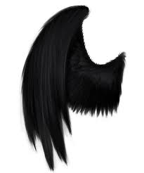 Black Angel Wings Costume Black Angel Wing Png Angel Wings Png Black Angel Wings Wings Png