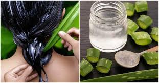 Pws N Apokthsete Pio Ygih Mallia Me Aloh Dokimaste Tis Protaseis Mas Hair Tips Aloe Vera Aloe Vera Healthy Hair