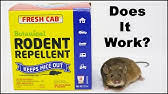 Senca upgraded version solar powered sonic mole repellent rodent repellent pest deterrent.: Testing Out The Rodent Sheriff Spray As Seen On Tv Mousetrap Monday Youtube
