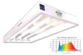 Microgreens at a rate and quality equal to lights that used a lot. Active Grow T8 Ho 2ft Led Grow Light Fixture For Microgreens Hydroponics Contains 4 X
