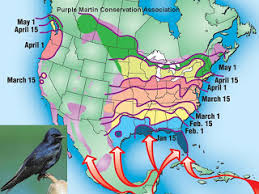Wild Birds Unlimited The Journey North Bird Migration Maps
