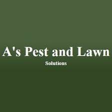 We are a family business and strive to give you quality expertise in pest,termite and wildlife control. A S Pest And Lawn Solutions Pest Control Exterminator San Antonio Tx Projects Photos Reviews And More Porch