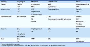 Evaluation and management of infectious esophagitis in immunocompromised and immunocompetent individuals. Infections Of The Luminal Digestive Tract Clinical Gate