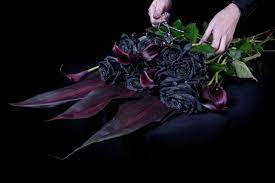 They are a tinge darker than the black magic rose. Think Ink Florist Selling Only Black Roses Emma Thomas Miss Cakehead
