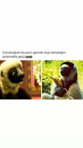 Sorgulama Ldnskdmdj Panosundaki Pin