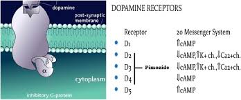 Image result for Mibefradil