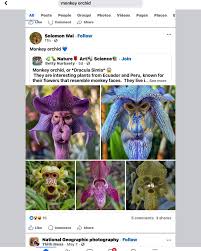 Sarah Clise aka S. Clise of AI | 🤦‍♀️🤦‍ ...