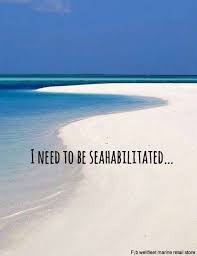 I want someone to look at me the way i look at a travel magazine! Quotes About Needing The Beach Funny Beach Quotes That Will Make You Smile Dogtrainingobedienceschool Com