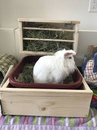 Alice bunnies, diy bao bao, bunnies, diy, instructions, litter box, luna, squishy 6 comments. Diy House Bunny Litter Box With Hay Feeder Bunny Litter Box Pet Bunny Hay Box
