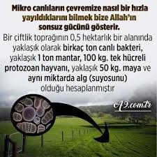 Hamide Kaya Adli Kullanicinin Yaratilis Mucizesi Panosundaki Pin Ciftlikler Hayvan Ve Allah