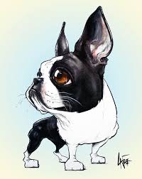 Boston Terrier 1 Drawing Boston Terrier 1 Fine Art Print Boston Terrier Art Boston Terrier Dog Boston Terrier