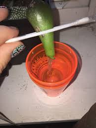 If you are having issues with leaves rotting before any action takes place. Water Propagation Succulents