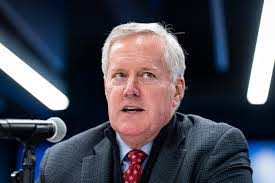 Georgia Meadows's Instagram, Twitter & Facebook