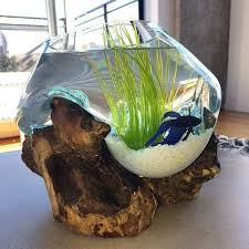 Wood Recycled Glass Terrariums Glass Terrarium Fish Tank Wood Glass