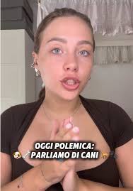 Incredible Pit Bull Jump Showcase