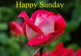 Maybe you would like to learn more about one of these? Good Morning Sunday Wishes Wishes Guide