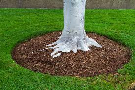 Dig all the area in this circle up, trying to keep it in on piece as. Mulching And Low Maintenance Gardening Gardener S Path