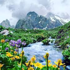 Şavşat, artvin ilinin bir ilçesidir.şavşat, 41.252753 enlem, 42.354667 boylam coğrafi koordinatları arasında yer almaktadır. Arsiyan Yaylasi Savsat Artvin Turkiye Home Facebook