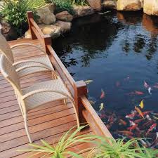 Sangat menyenangkan memiliki kolam ikan di teras rumah seperti ini. 6 Desain Kolam Ikan Di Teras Rumah Untuk Kesejukkan Hunian