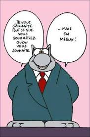 Bonne Annee Les Folies De Christalie Ou Quand La Cuisine Devient Passion Joyeux Anniversaire Humour Voeux Anniversaire Humour Chat Humour