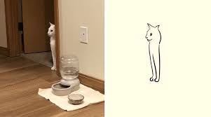 Funny Poorly Drawn Animals Poorlydraws Animals Pets Funny Animals