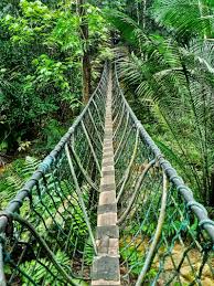 Cuma laluan keluar yang berbeza. Gasing Hill The Best Place For Hiking In Kuala Lumpur