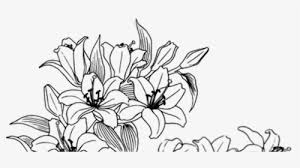 Great decor for any home. Flower Drawing Png Images Free Transparent Flower Drawing Download Kindpng