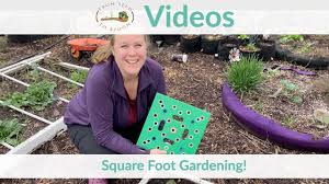 Longifolia) is a variety of lettuce that grows in a tall head of sturdy dark green leaves with firm ribs down their centers. Video How Square Foot Gardening Makes It Easy To Grow Food Efficiently From Seed To Spoon Vegetable Garden Planner Mobile App
