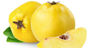 Ayva kış mevsiminin vazgeçilmez meyvesi İhlas Haber Ajansı