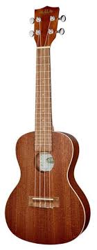 Ukes come in four sizes: The 7 Best Concert Ukuleles 2021 Experts Choice