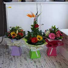 Check spelling or type a new query. Flowers By Louise Bamber Bridge