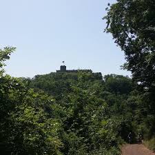 Sie befindet sich am gipfel der hohen loog (619 m) in der haardt. Wikiloc Picture Of Pfalzer Rundwanderung Mit Einkehr Hohe Loog Haus 2 6