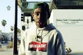 There's a party/bonfire, that serves as sort of a date for wolf and salem, sam goes to sell drugs, and wolf loses his virginity. Tyler The Creator Wolf Odd Future Red Spin