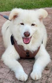 Oh, Harley! ❤️🖤❤️🖤