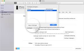 Mencari Cadangan Iphone Ipad Dan Ipod Touch Apple Support