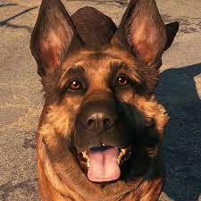 Fallout 4 Companions Fallout Wiki Fandom